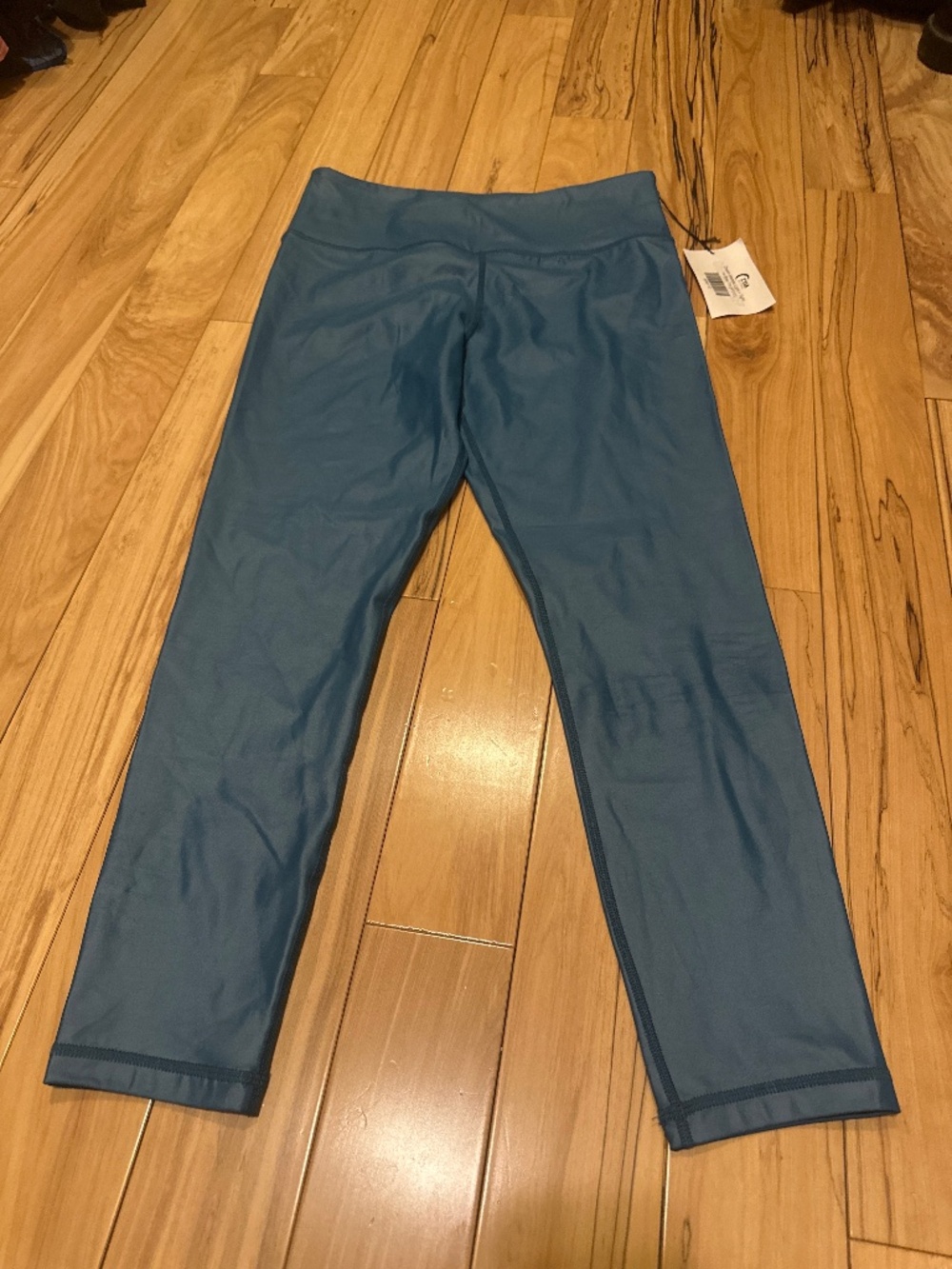 Zyia ocean metallic light n tight 7/8 24inch size 12